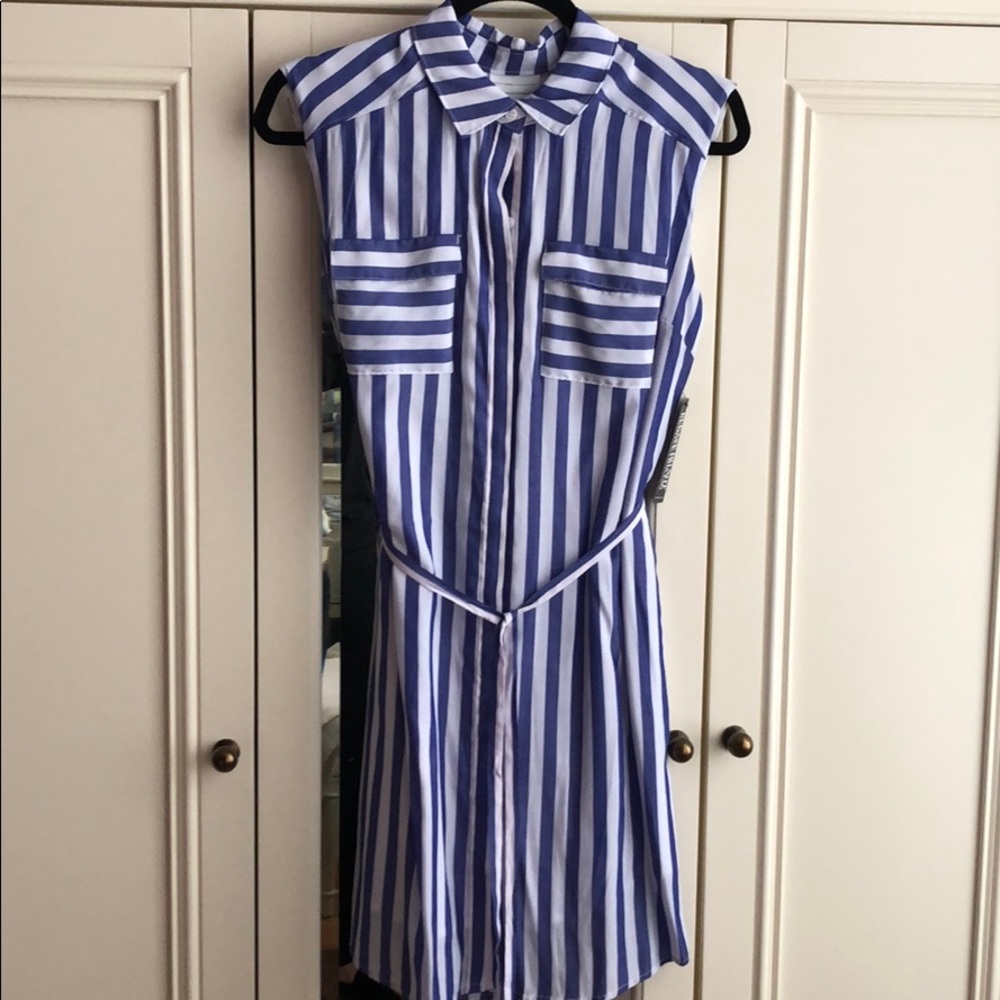 NWT Blue and White Stripe Shirtdress